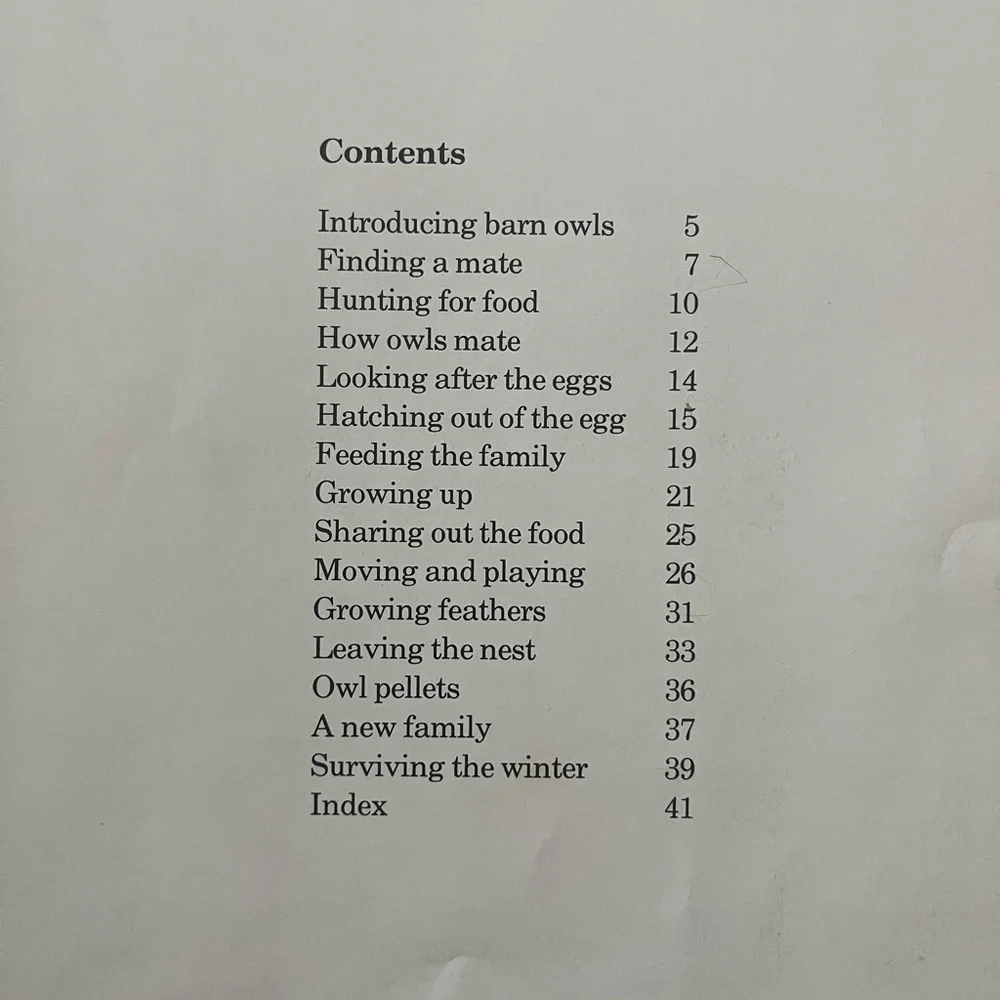 🦉”A Family of Owls” Vintage Children’s Picture Book with Color Photographs🦉 - Picture 4 of 15